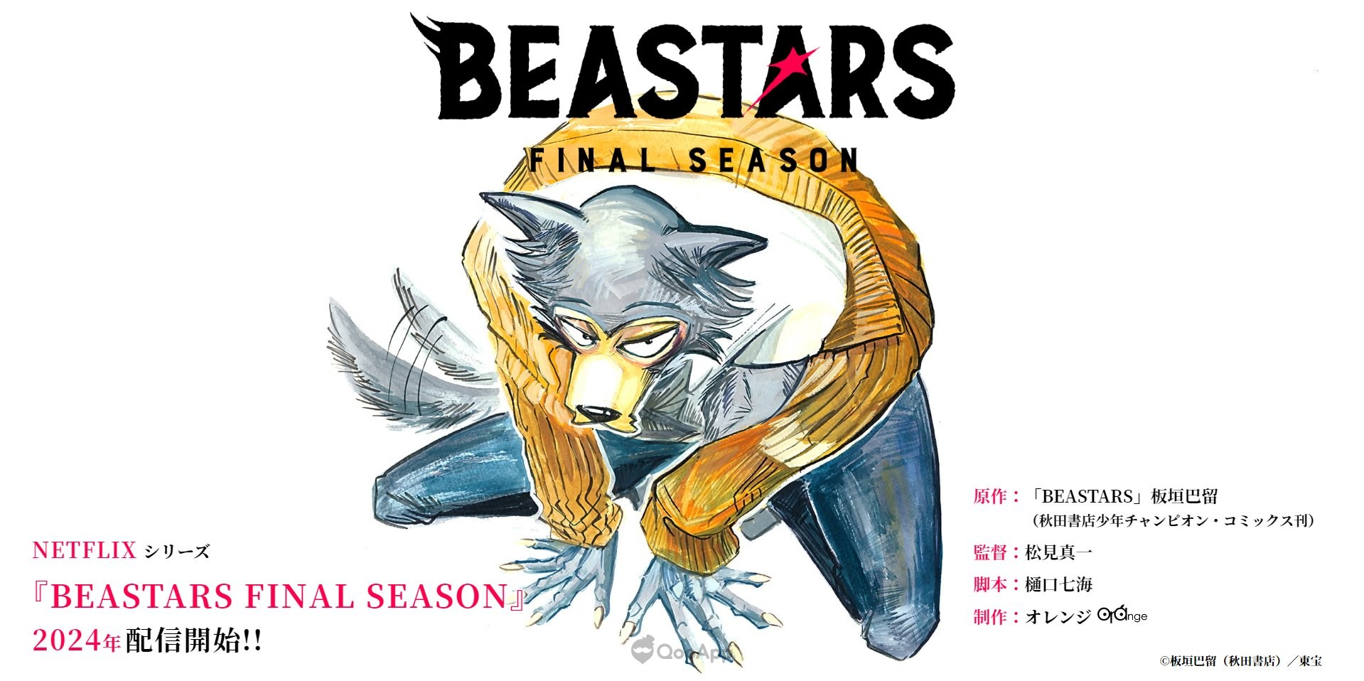 Beastars Final Season Arrives In 2024, With The Same Staff Members ...